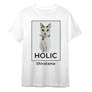 HOLIC Mode